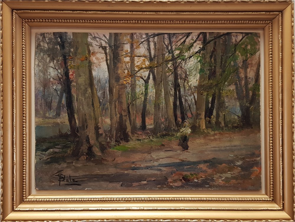 paolo sala: Figura nel bosco